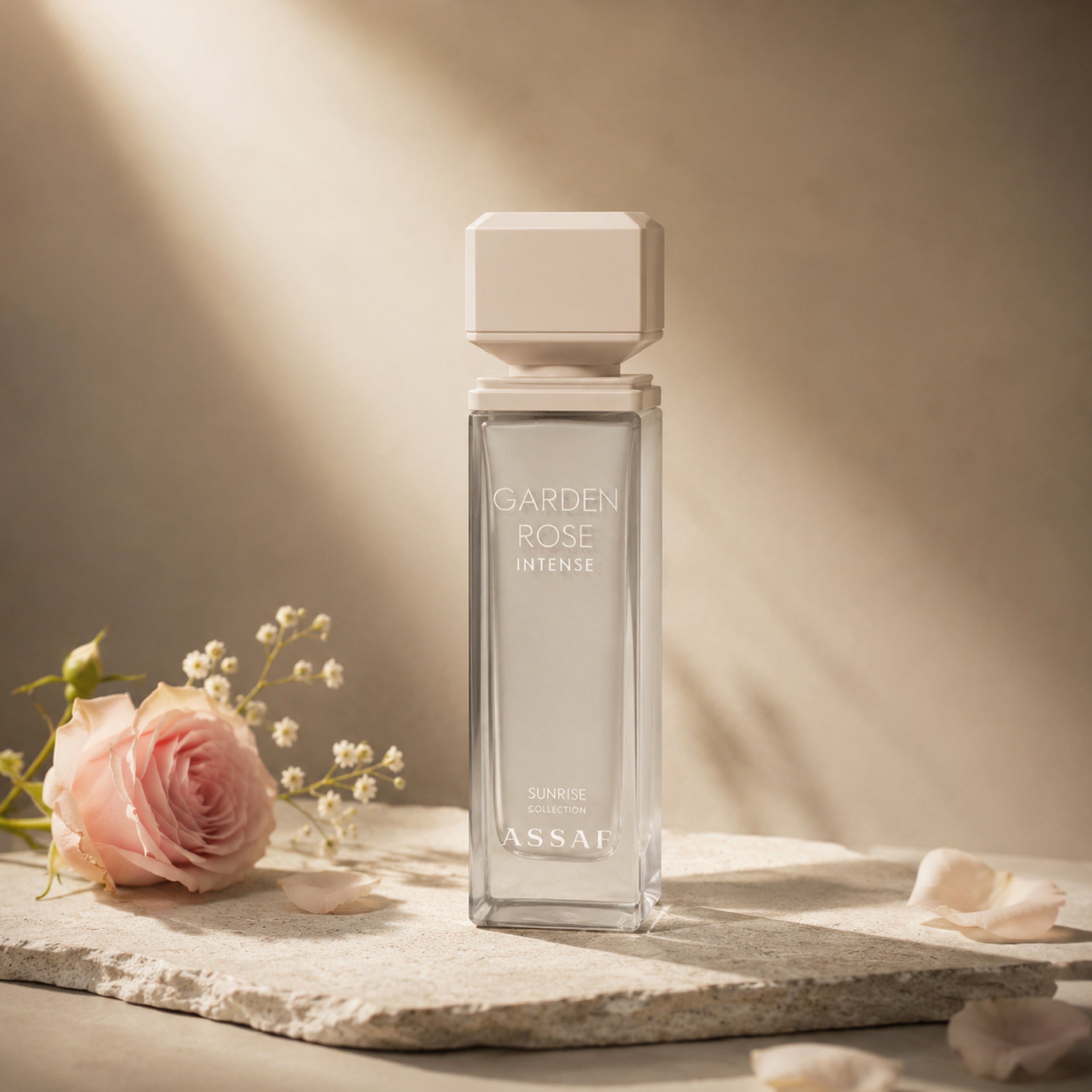 Garden Rose